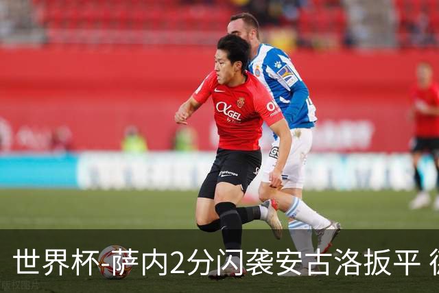 世界杯-萨内2分闪袭安古洛扳平 德国半场1-1厄瓜多尔