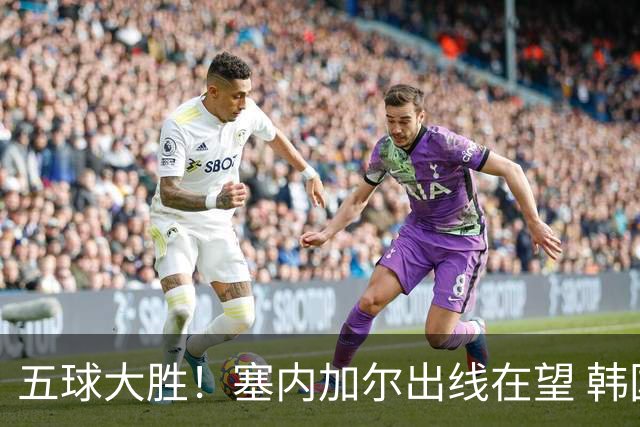 五球大胜！塞内加尔出线在望 韩国晋级仅剩理论希望