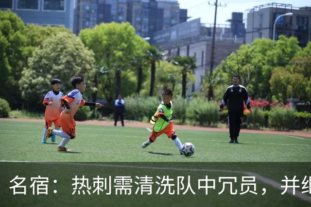 名宿：热刺需清洗队中冗员，并继续引援支持德泽尔比建队