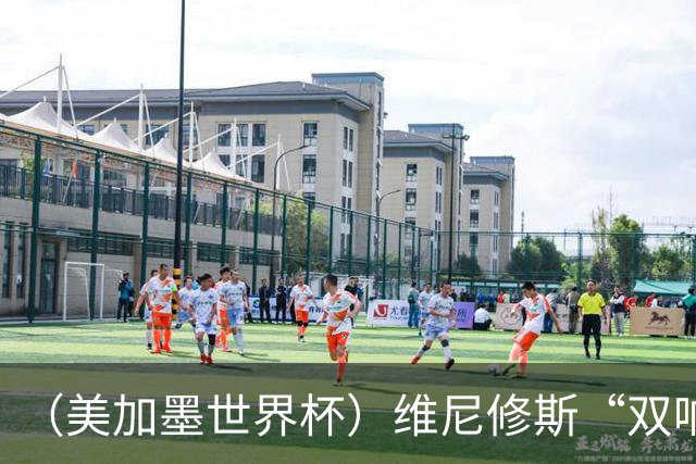 （美加墨世界杯）维尼修斯“双响”助巴西头名晋级 摩洛哥4：2胜海地
